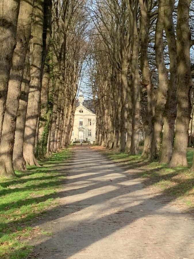 De Lotuspoort Met Mihr'S B&B In De Abdij Van Bornem Exteriör bild